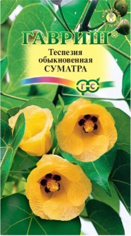 цветы Теспезия Суматра ЦВ/П (ГАВРИШ) 3шт комнатное до 1,5м