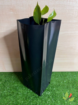 Набор горшков Рассадных П/Э 1,5лит 100*250мм (Набор 20шт) 100мкм