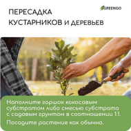 Кокосовый Субстрат 7лит Greengo при разбухании (1уп/48шт) Арт-5151596/9748809 Кокосовый Субстрат 7лит Greengo при разбухании (1уп/48шт) Арт-5151596/9748809