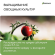 Кокосовый Субстрат 7лит Greengo при разбухании (1уп/48шт) Арт-5151596/9748809 Кокосовый Субстрат 7лит Greengo при разбухании (1уп/48шт) Арт-5151596/9748809