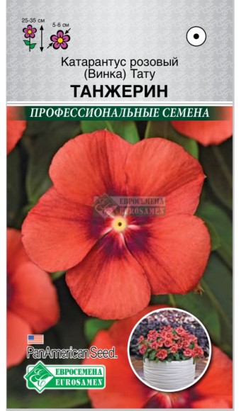 Цветы Катарантус Розовый (Винка) Тату Танжерин ЦВ/П (ЕС) 5шт однолетник 25-35см