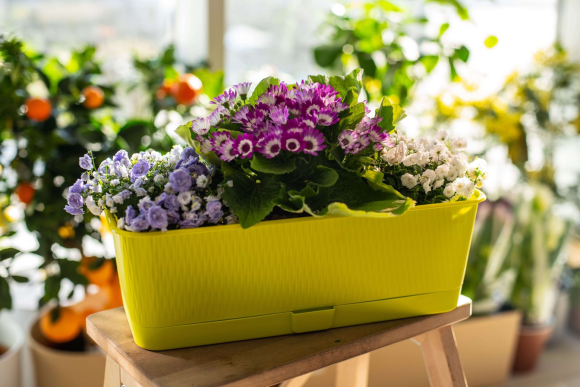 Балконный ящик Прованс 6лит Фисташка 400*170*130мм с прикорневым поливом