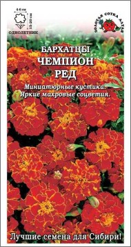 Цветы Бархатцы Чемпион Ред ЦВ/П (СОТКА) 0,1гр однолетник 20см
