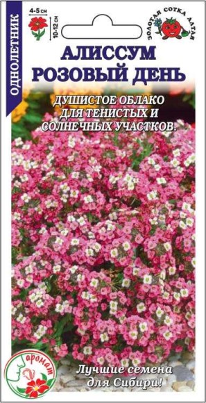 Цветы Алиссум Розовый день ЦВ/П (СОТКА) 0,1гр однолетник 12см