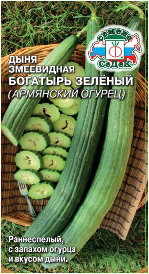 Дыня Армянский огурец Богатырь Зеленый ЦВ/П (СЕДЕК) 0,5гр раннеспелый