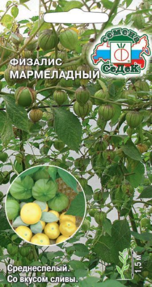 Физалис Мармеладный ЦВ/П (СЕДЕК) 0,1гр среднеспелый
