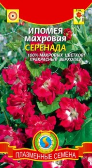 Цветы Ипомея Серенада махровая ЦВ/П (ПЛАЗМА) 5шт однолетник до 2м
