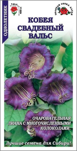 Цветы Кобея Свадебный Вальс Фиолетовая ЦВ/П (СОТКА) 0,3гр однолетник до 4м Цветы Кобея Свадебный Вальс Фиолетовая ЦВ/П (СОТКА) 0,3гр однолетник до 4м