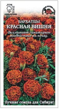 Цветы Бархатцы Красная Вишня ЦВ/П (СОТКА) 0,2гр однолетник отклоненные 20-30см