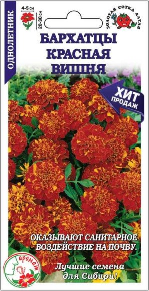 Цветы Бархатцы Красная Вишня ЦВ/П (СОТКА) 0,2гр однолетник отклоненные 20-30см Цветы Бархатцы Красная Вишня ЦВ/П (СОТКА) 0,2гр однолетник отклоненные 20-30см