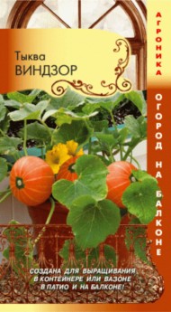 Тыква Виндзор ЦВ/П (ПЛАЗМА) 3шт скороспелый короткоплетистый