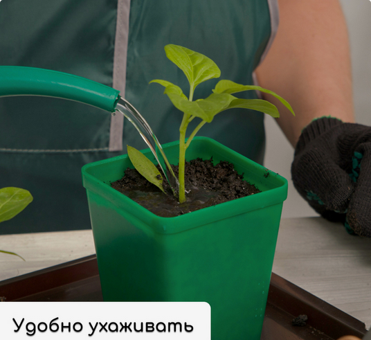 Набор для рассады Greengo стаканы 200мл*18шт + поддон 37×18см Арт-3341026