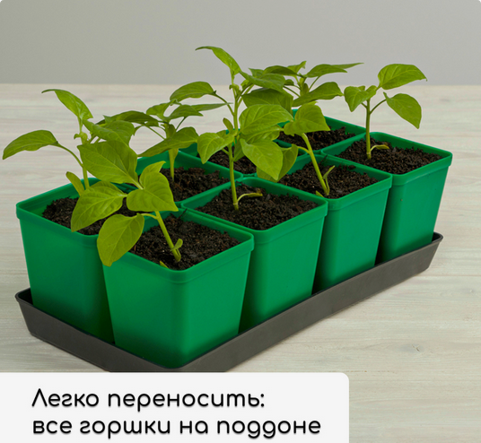 Набор для рассады Greengo стаканы 200мл*18шт + поддон 37×18см Арт-3341026