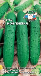 Огурец Мой Генерал F1 ЦВ/П (СЕДЕК) 0,2гр ранний партенокарпический Огурец Мой Генерал F1 ЦВ/П (СЕДЕК) 0,2гр ранний партенокарпический