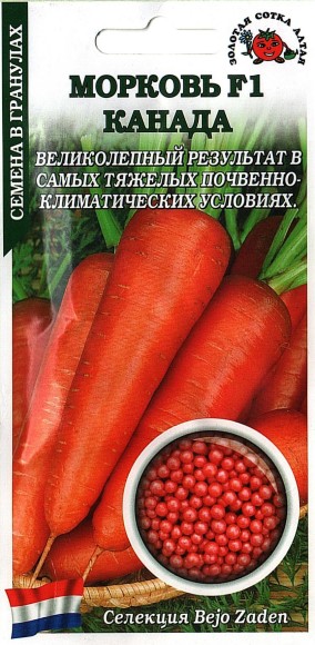 Морковь драже Канада ЦВ/П (СОТКА) 100шт среднепоздний