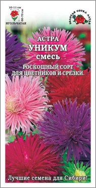 Цветы Астра Уникум Смесь ЦВ/П (СОТКА) 0,2гр однолетник до 70см