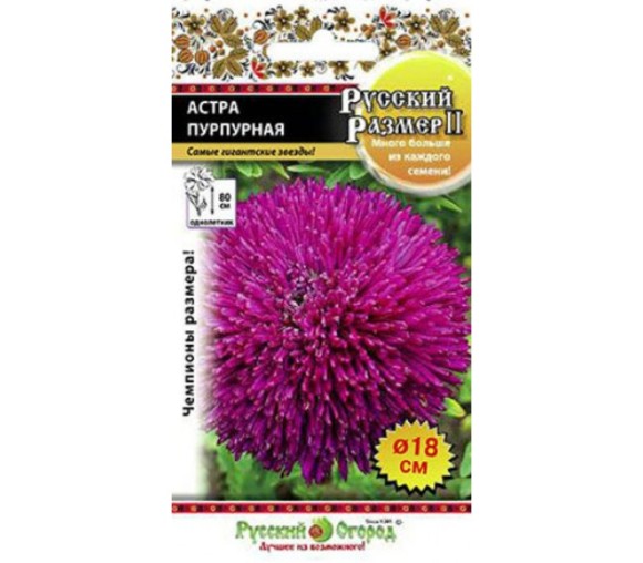 Цветы Астра Русский размер Пурпурная ЦВ/П (РУССКИЙ ОГОРОД) 0,2гр однолетник 80см Цветы Астра Русский размер Пурпурная ЦВ/П (РУССКИЙ ОГОРОД) 0,2гр однолетник 80см