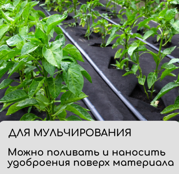 Упаковка Агротекс Чёрный М-120 шир 3,2м /длина 5метр Упаковка Агротекс Чёрный М-120 шир 3,2м /длина 5метр