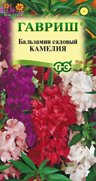 Цветы Бальзамин Камелия ЦВ/П (ГАВРИШ) 0,1гр однолетник до 80см