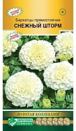 Цветы Бархатцы Снежный Шторм ЦВ/П (ЕС) 10шт прямостоячие однолетник 30см Цветы Бархатцы Снежный Шторм ЦВ/П (ЕС) 10шт прямостоячие однолетник 30см