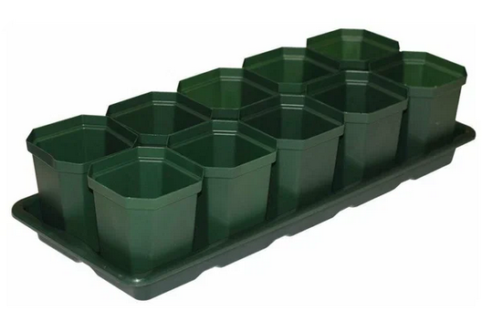 Набор для рассады 10стаканов + поддон 410*170*90мм М-1010
