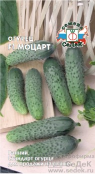 Огурец Моцарт F1 ЦВ/П (СЕДЕК) 8шт раннеспелый партенокарпический