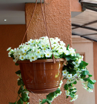 Горшок Глория подвесной 2лит D-19см Терракот + Крючок L-35см кручёный с поддоном