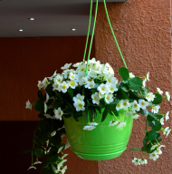 Горшок Глория подвесной 2лит D-19см Зелёный + Крючок L-35см кручёный с поддоном