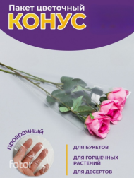 Конус прозр/прозр 35/60 (1/100шт) Цена за лист