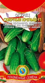 Огурец Северный Крепыш F1 ЦВ/П (ПЛАЗМА) 8шт среднеспелый