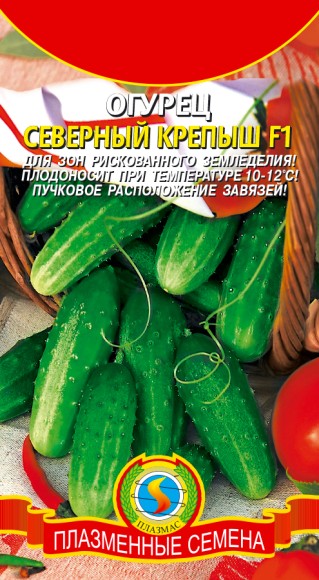 Огурец Северный Крепыш F1 ЦВ/П (ПЛАЗМА) 8шт среднеспелый Огурец Северный Крепыш F1 ЦВ/П (ПЛАЗМА) 8шт среднеспелый