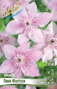 Клематис Пинк Фэнтези (1уп/2шт) Клематис Пинк Фэнтези (1уп/2шт)