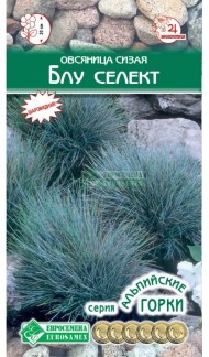 Цветы Овсяница Блу Селект ЦВ/П (ЕС) 0,1гр многолетник 20см