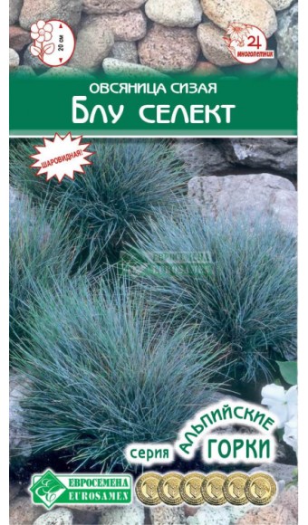Цветы Овсяница Блу Селект ЦВ/П (ЕС) 0,1гр многолетник 20см