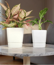 Горшок Квадрат Гранд 5,5лит Белый D-19см