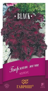 Цветы Колеус Бархат ночи ЦВ/П (ГАВРИШ) 4шт однолетник 30-35см Цветы Колеус Бархат ночи ЦВ/П (ГАВРИШ) 4шт однолетник 30-35см