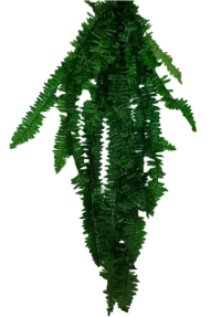 Папоротник для горшка №2 26 веток 128см