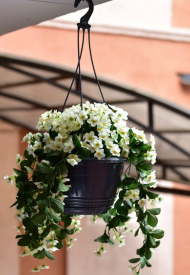 Горшок Глория подвесной 3,3лит D-21см Антрацит + Крючок L-45см с поддоном