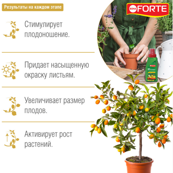 Удобрение Бона Форте Красота Цитрусовых Растений 285мл (1уп/20шт) min 3шт