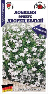 Цветы Лобелия Эринус Дворец Белый ЦВ/П (СОТКА) 30шт однолетник 10-15см