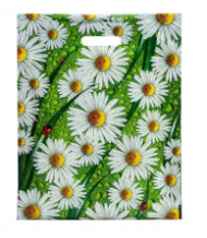 Сумочка пакет п/э 380*470мм Ромашки Арт-2610