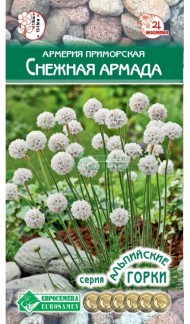 Цветы Армерия Снежная Армада ЦВ/П (ЕС) 5шт многолетник 15-18см