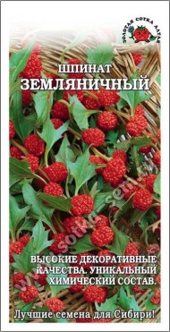 Шпинат Земляничный ЦВ/П (СОТКА) 0,2гр однолетник 40-50см