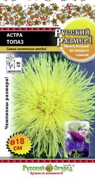 Цветы Астра Русский размер Топаз ЦВ/П (НК) 0,3гр жёлтая игольчатая однолетник 80см