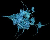 Букет блестящий Маки из 9цветков 39см ГОЛУБОЙ Букет блестящий Маки из 9цветков 39см ГОЛУБОЙ