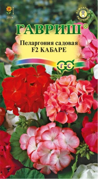 Цветы Пеларгония Кабаре зональная F2 ЦВ/П (ГАВРИШ) 4шт комнатное 30см