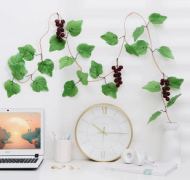 Лиана Виноград 200см * 5шт ЦЕНА за НАБОР Лиана Виноград 200см * 5шт ЦЕНА за НАБОР