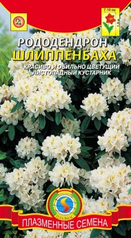 Цветы Рододендрон Шлиппенбаха ЦВ/П (ПЛАЗМА) 0,005гр многолетник до 1,6м