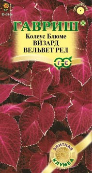 Цветы Колеус Визард Вельвет Ред ЦВ/П (ГАВРИШ) 4шт однолетник 30-35см Цветы Колеус Визард Вельвет Ред ЦВ/П (ГАВРИШ) 4шт однолетник 30-35см