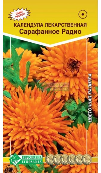 Цветы Календула Сарафанное Радио ЦВ/П (ЕС) 0,3гр лекарственный однолетник 50см